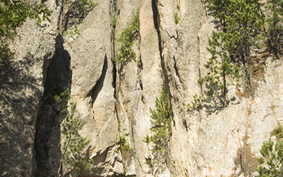 The Black Hills of South Dakota.