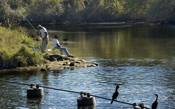 The Tampa Bay area's freshwater rivers and lakes offer great fishing.