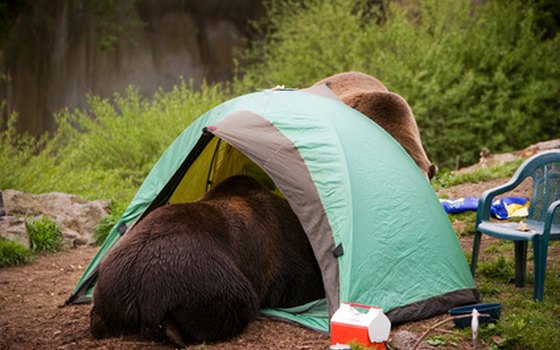 Proper food storage and disposal are not optional when camping in Alaska.