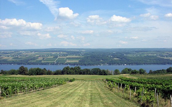 Bus Tours in Upstate NY