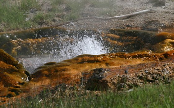 The world famous Yellowstone National Park geyser is a major tourist attraction.
