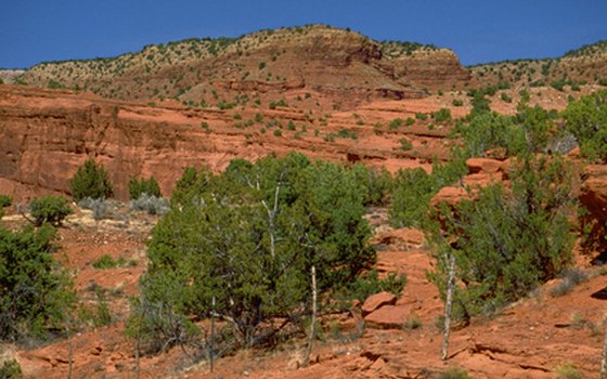 Jemez Mountains