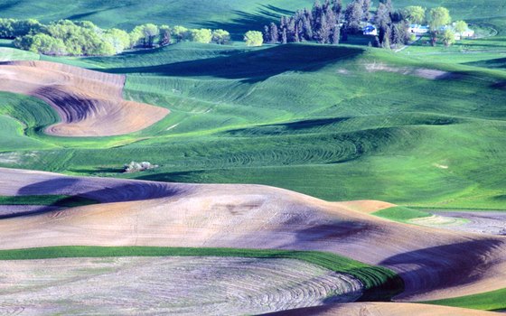 Rolling hills rise out of the Mississippi River valley in Jo Daviess County, Illinois.