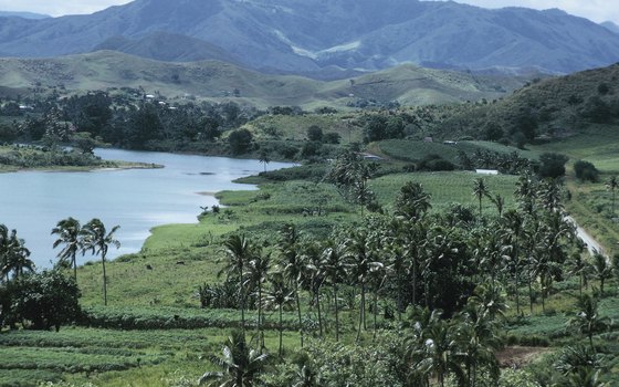 New Zealand's countryside is uncrowded and lush.