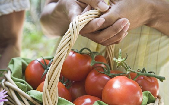 Several farmers' markets are accessible near Lynnwood.