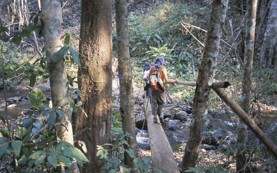 Jungle trekking in Thailand