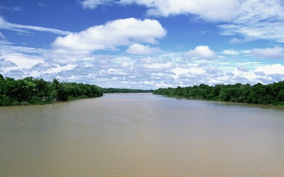 The Amazon rain forest is perpetually hot and humid.