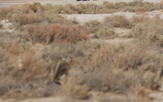 The California deserts provide wide-open camping spaces.