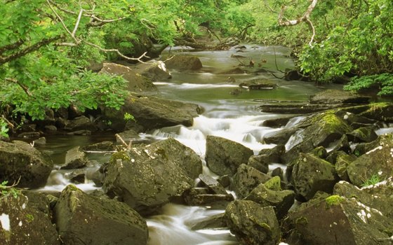 Experience Ireland off-road on Vagabond Tours' five-day Land Rover tour.