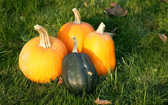 Get a taste of fall at the Annual Fallfare.