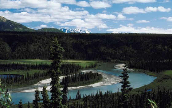 The Nenana River flows through Denali National Park.