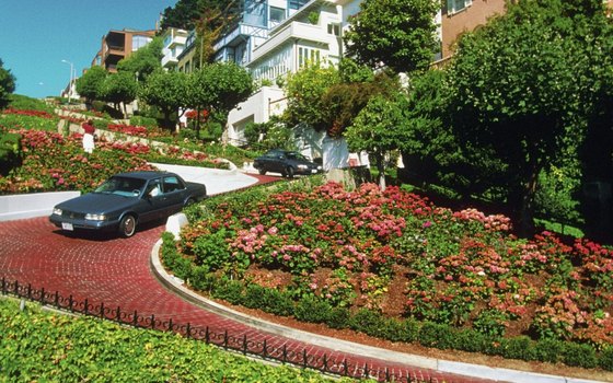 Cruise carefully down the hairpin turns of Lombard Street