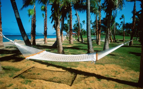 This clump of palm trees is at the end of the beach opposite Sheraton Suites.