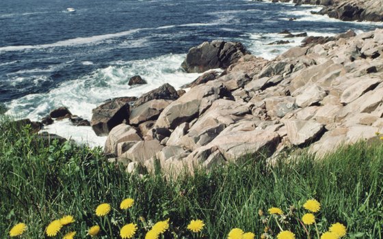 Buses travel along the Cabot Trail as part of a visit to Cape Breton Island.