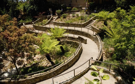 Walking trails are situated throughout the gardens in Balboa Park.