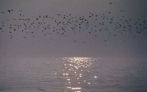 Several state parks situated on islands in Lake Erie offer unique camping settings.