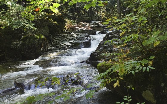 Wisconsin offers scenic beauty near Illinois.