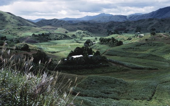 A trip to New Zealand's countryside gives visitors a chance to experience the quiet life.