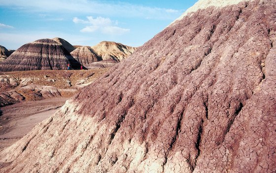 Petrified Forest National Park is located in Arizona.