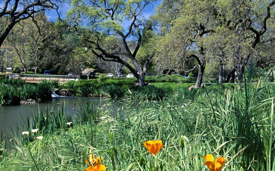 The whole family can enjoy the scenery on one of many trails in Napa Valley.