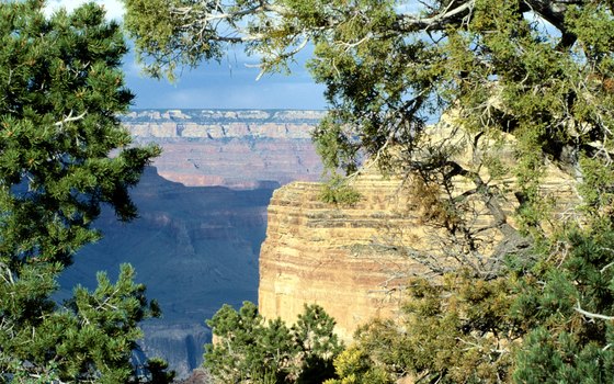 The Grand Canyon is approximately 280 miles from Las Vegas.