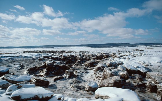 The Bay of Fundy becomes a waterless seabed at low tide.