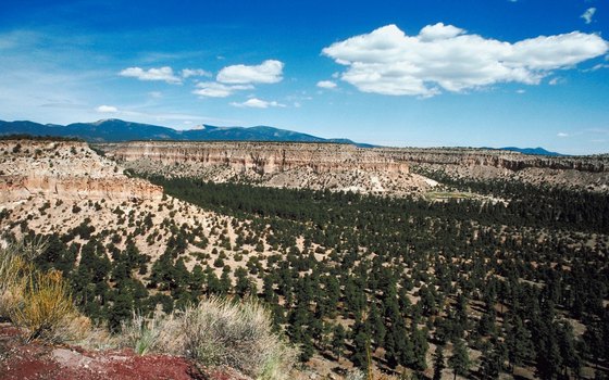 Time, wind and rain erode plateaus into mesas, buttes and badlands.