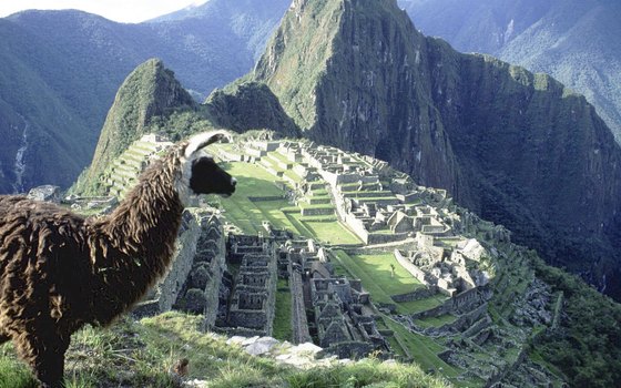 Pack animals are not allowed on the Inca trail, so you must carry belongings yourself or hire a porter.