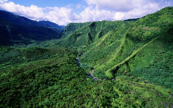 Buses weave through green Honduran valleys en route to La Esperanza.