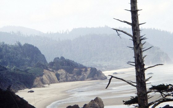 The Oregon Coast area is usually too cold for swimming, but swimming holes are nearby.