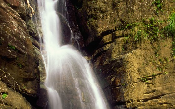 Hiking in El Yunque provides a fun outing for the whole family.