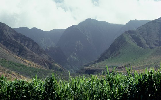 The West Maui Mountains run along the highway to north Maui.