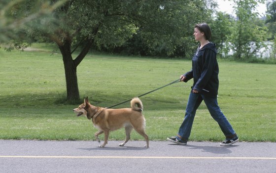 Friendly, well-behaved leashed dogs are welcome on two trails in the Great Smoky Mountains National Park.