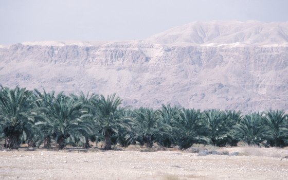 Summer afternoons around the Dead Sea are relentlessly hot.