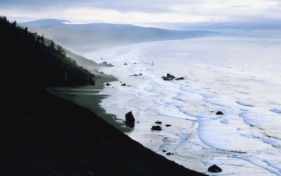 Towering redwoods give way to the Pacific coast in northern California.