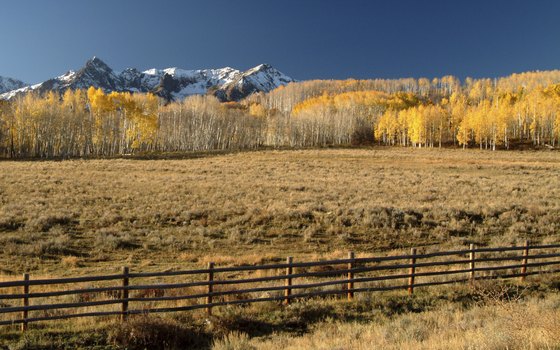 Telluride offers both winter skiing and summer music events.