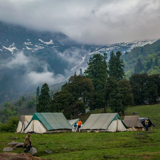 A few tents camping in the woods with the foggy mountains in the background.