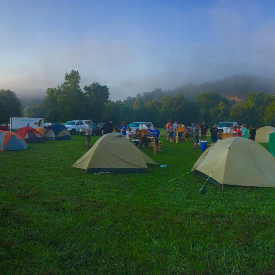 A bunch of tents and cars camping in the foggy morning.