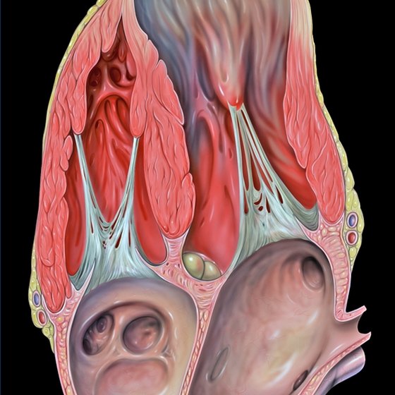 How Long Does Triple Bypass Surgery Take Healthy Living