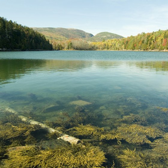 Acadia National Park in Maine is a popular place to camp.