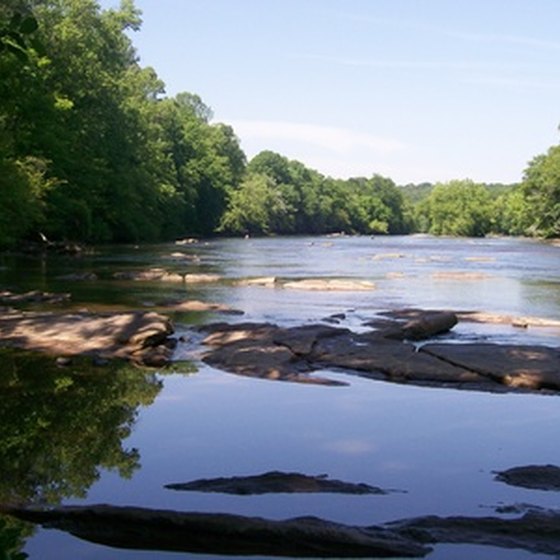 Enjoy the forests surrounding the Chattahoochee River in Georgia.
