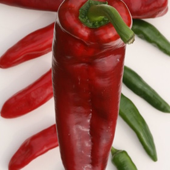 Hatch celebrates the chile in both its red and green forms.