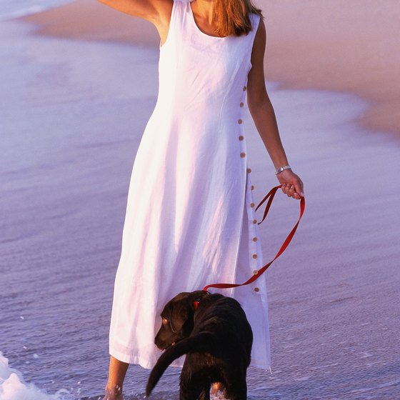 Leashed dogs are allowed on the beach 24/7 post-Labor Day to April 30.
