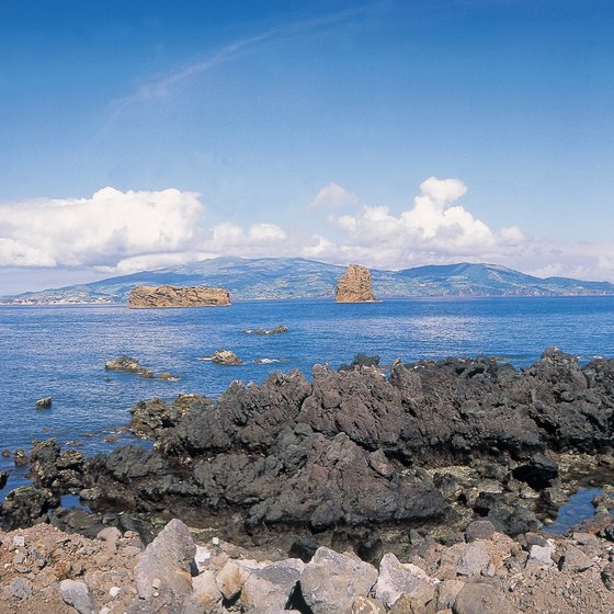 The channels between the islands of the Azores are rich in marine life.