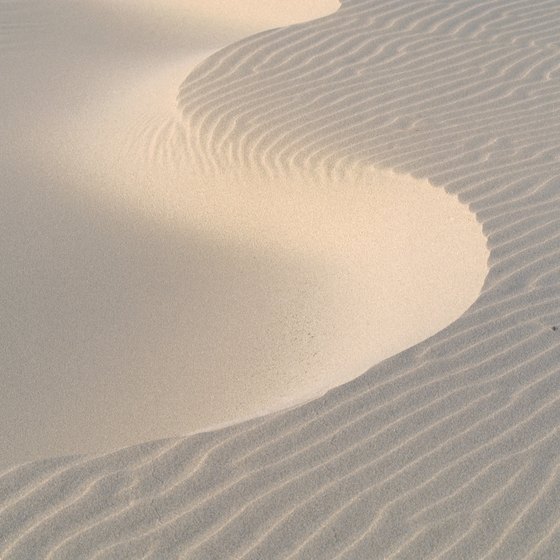 Sand dunes on the Oregon Coast are monumental natural formations.