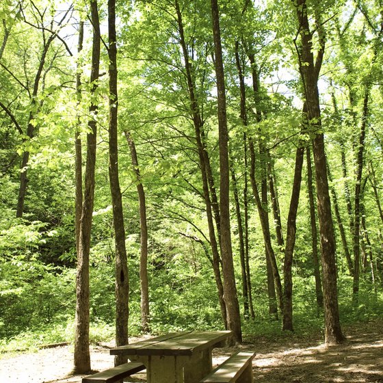 Ozark Mountain campgrounds offer shady sites.