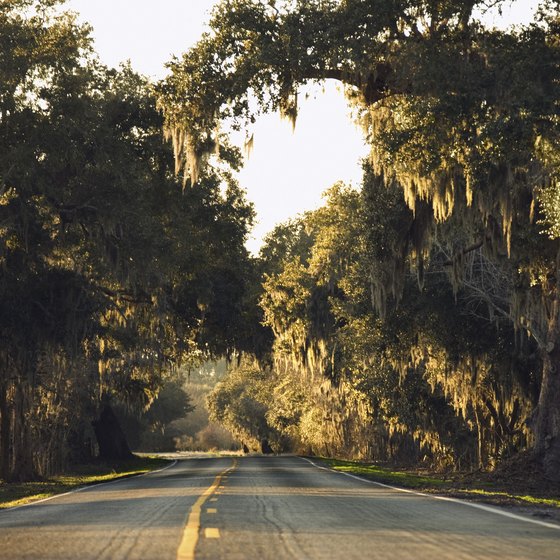 Get off the beaten path to see Louisiana's oddities.