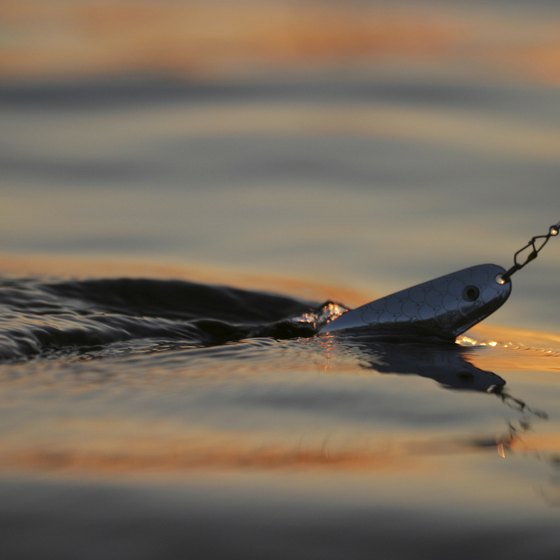 Relax and go fishing while visiting Waterville.