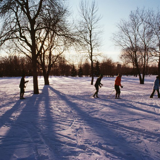 Cross-country ski trails are available in the Black River State Forest.