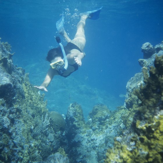 The coves of Majorca are ideal for snorkeling.